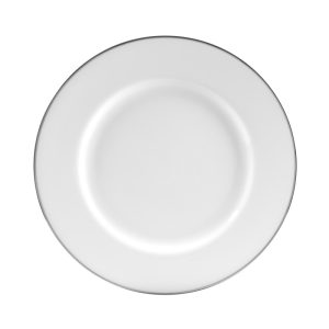 silver line dinner plate